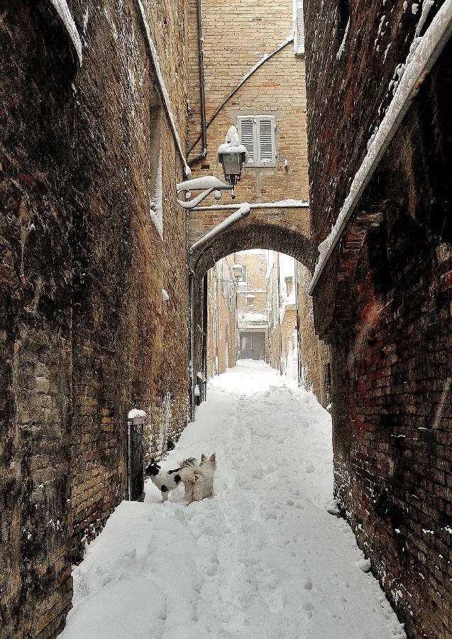 Alloggio "La Fonte" フェルモ エクステリア 写真